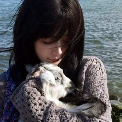 第三布局尘沙惑